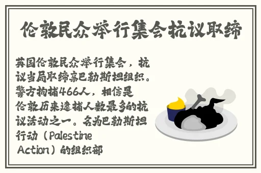 夜晚扑克视频大全集